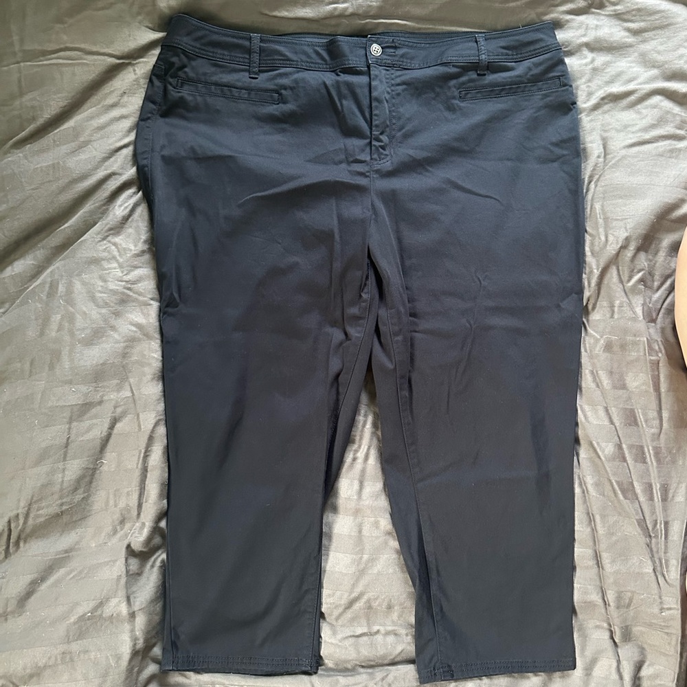 Lane Bryant Pants 24